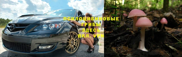 крисы Краснослободск